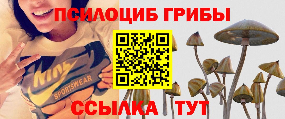 Галлюциногенные грибы MAGIC MUSHROOMS  Вход с VPN  Соликамск 